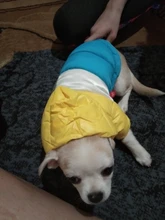 Outfit Jacket Hoodie Dog Warm Waterproof Winter Coat Splice Pet-Puppy 6-Colours 8-Sizes