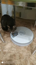 Pet-Feeder Cat-Dispenser Automatic Food-Feed-Tool Dry with Voice-Remind 6-Grids/pet 24h-Timer