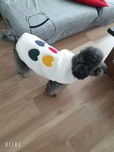 Costume Puppy-Clothes Love-Rainbow-Vest PETCIRCLE Pet-Cat Dog Winter New Fit And Four-Color