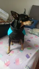 Chaleco impermeable para perros grandes y pequeños, abrigo cálido de invierno para cachorros, ropa para mascotas, 4XL, 5XL, nuevo