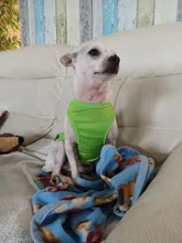 Nueva moda deportes ropa de perro T camisa traje Yorkshire Chihuahua cachorro Ropa para perros de verano perro gato camisa chaleco XS-XXL