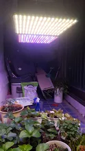Phyto Lamp Light-Bulb Uk-Plug Grow-Tent Plant Full-Spectrum-Lamp Greenhouses Indoor 2000w Led