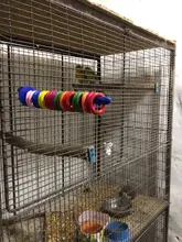 Ring Rings-Decoration Parrot Toys Diy-Accessories Birds Parakeet-Toy Wooden Play Chew