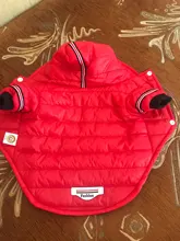 Small Dog Clothes Winter Warm Pet Dogs Coat Jacket Puppy Cat Outdoor Clothing Hoodies