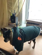 Pet-Dog-Clothes Clothing Coat Jacket Outfit Pets-Puppy-Costume French Bulldog Small Dogs