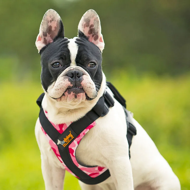 

Ondoing For Pet Strong Dog Harness For Dogs Training Vest Medium Big Dogs Adjustable Outdoor Protective Harness Pitbull