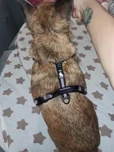 Pet-Harness Truelove Walk Padded Seat-Belt Handle Reflective-Dog Adjustable Small Soft