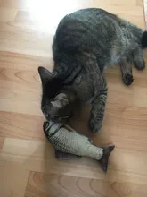 Cheap Pet Products Fish Toy Cat Scratch Board Scratching Post Catnip toys for Cat Pet