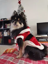 Costume Jackets Yorkie-Outfit Cat-Clothing Puppy Small Dogs Coat Hooded Pet-Dog Winter Dog