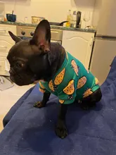 Traje para perros con estampado de animales, abrigo suave de algodón para mascotas, Jersey, camisa, chaqueta, suéter, ropa para mascotas