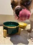 Ceramic-Bowl Product-Supplies Wood-Stand Water-Food-Feeder Animal Small Pet-Feeding For Puppy