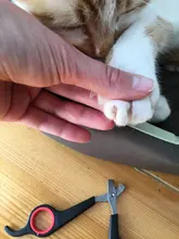 Cortador de uñas para mascotas, cortador de uñas para pies, perro, gato, conejo, toenail, herramienta de aseo animal, recortador, cizalla para loros y pájaros gerbidos