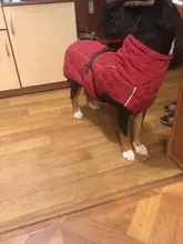 Jackets Dog-Coats Outdoor Winter Pet-Dog Dogs Large Medium for Warm Clothing Kurtka Ubranka