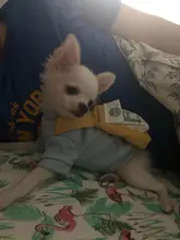 Overalls Sweaters Jacket Pet-Costume Yorkies Dogs Coat Small 