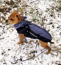 Pet-Dog-Clothes Clothing Walking-Harness Dogs Outdoor Waterproof Large Winter Medium