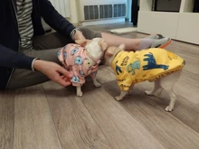 Traje para perros con estampado de animales, abrigo suave de algodón para mascotas, Jersey, camisa, chaqueta, suéter, ropa para mascotas