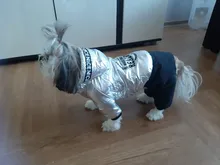 Jumpsuit Pet-Costumes Cotton-Padded Silver-Color Dogs Waterproof Winter Fashion for Hoodie