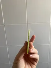 Rodillo de Jade para masaje Facial, masajeador verde de piedra Natural, levantamiento de cuello y cara, herramientas de cuidado de la piel, 2 uds.