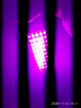 LED Grow Floodlight Seeding Plants-Tent Flower Phyto-Box Range-Lamp Light-Phytolamp Outdoor