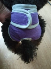 Pet-Physiological-Pants Underwear Diapers Dog Washable Female Short Puppy for Small Doggie