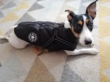 Pet-Dog-Jacket Harness Bulldog-Outfits Labrador Warm French Chihuahua Waterproof Large