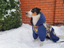 HOOPET Large Coat Down-Jacket Winter New Warm Autumn for Dogs Dog-Prints Overalls Leisure-Style