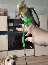 Cuerda de entrenamiento antimordedura para mascotas, Kits de correas ultraligeras, suaves y portátiles, gran oferta