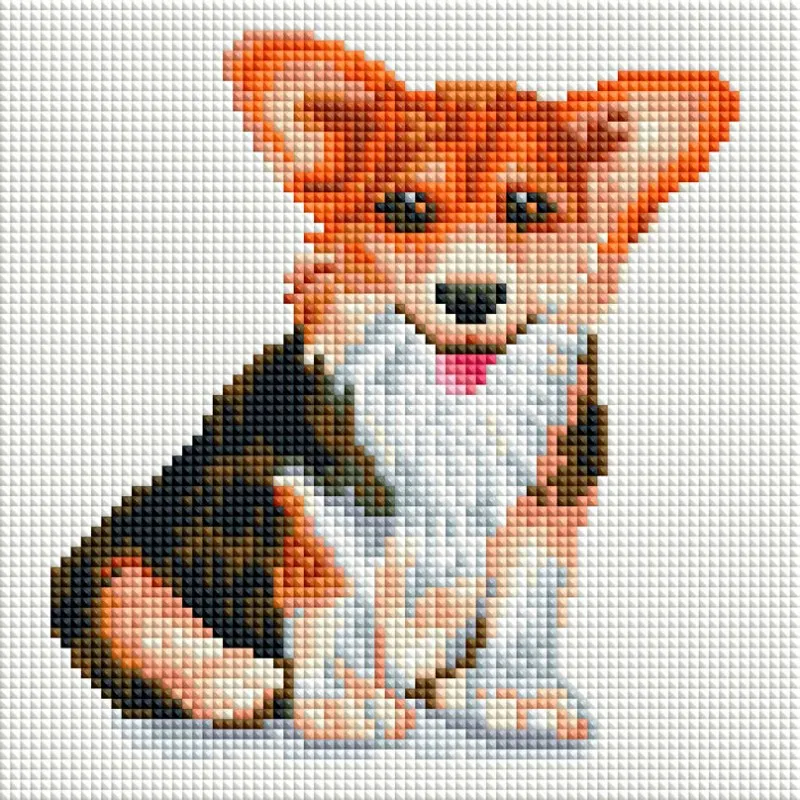 20x25cm_back_2020-800x800