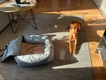 2 en 1 para mascotas perro protector plegable para asiento de coche Transportín seguro casa cachorro bolso accesorios de viaje para coche bolsa de asiento de perro a prueba de agua la cesta