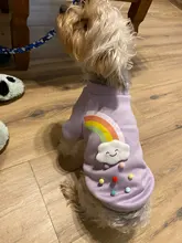 Cute Pet Dog Clothes Puppy sweater T-shirt Shirt Cute Rainbow printing Pajamas Cat 