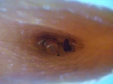 Boquillas de pistola de calor, Kit de soldadura de aire caliente, accesorios de soldadura, boquillas de soldadura, nuevas especificaciones de variedad