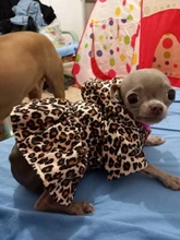 Abrigo con tutú y estampado de leopardo para perros y cachorros ropa de invierno con capucha, chaqueta reversible para perros pequeños