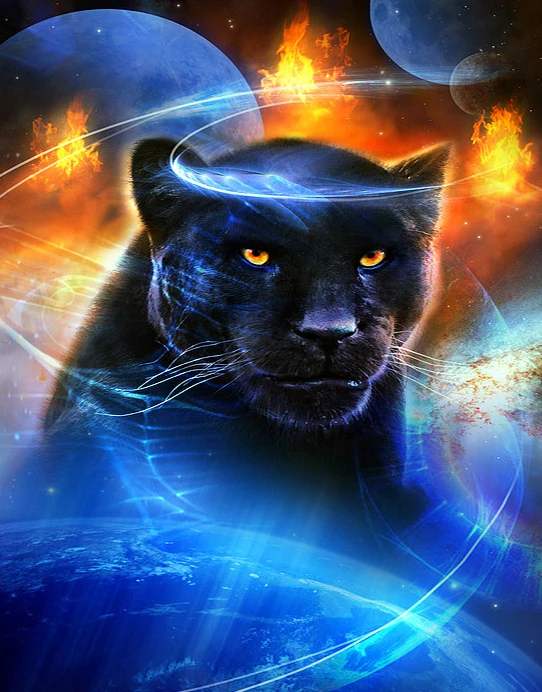 wall stickers Cuadros haft diamentowy 5D diamond painting kit set Full square Cross stitch animal Panther colour Mosaic universe | Дом и сад