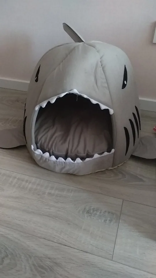 Shark Dog Bed | Shark Cat Bed | Shark Cat House | Shark Dog House photo review