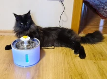 Fuente de agua automática para gatos y perros, alimentador para beber con filtro de carbón activo, tazón de bebida, dispensador eléctrico para gatos con alimentación USB fonte de agua para gato bebederos para perros