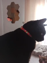 Christma-Collar de gatito reflectante con cierre de seguridad, Collar de hebilla ajustable de alta visibilidad con colgante de campana para mascotas