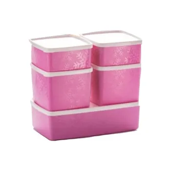 

Tuperware Antarctica 5 Set