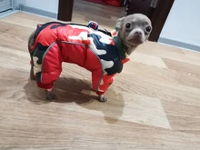 Winter Pet Dog Coat Jacket Thicken Warm Clothes For Dogs Waterproof Reflective Puppy