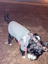 Coat-Jackets Fleece Vest Pug-Costumes Dogs French-Bulldog Chihuahua Winter Small Medium