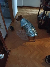 Jacket Coat Vest Pet-Dog Dogs Chihuahua Waterproof Winter Large for Big Autumn Warm Clothing-For-Dogs