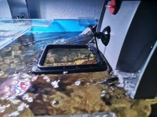 ZRDR-Anillo de alimento para peces, acuario, pecera, pequeño tipo Tropical, alimentador, accesorios de Acuario, 1 Uds.