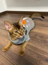 Pullover Pet-Clothing Puppy-Jacket Cat-Dog-Sweater Christmas Winter for Small Dogs Chihuahua