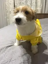 Dog Costumes Rain-Coat Waterproof Jacket Puppy Pet-Dog 4-Color Pet-Supplies XS-XXL Hot