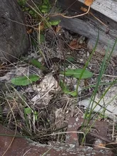 PROSTORMER-Extensión para destornillador de eje Flexible, 1/4 , barra de enlace Dremel, accesorios de herramientas eléctricas