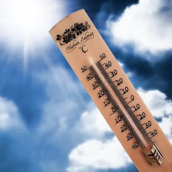 

Personalized Wooden Thermometer