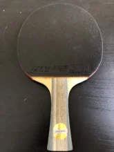 DHS-raqueta de tenis de mesa profesional con Hurricane 8 y goma de arco de estaño FL, Mango para sacudir, palo de Ping Pong con funda, 6002