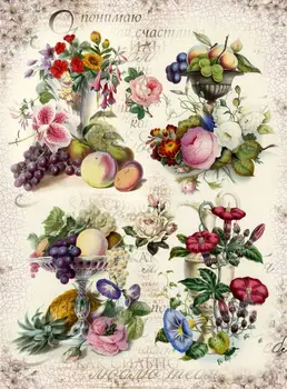 

Rice paper for Decoupage "" craft Premier "", A3, 25 g/m, "Harmony" cpd0547