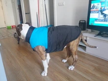 Jacket Yorkshire Terrier Padded-Coat Pet-Dog-Clothes Winter for Pitbull Chihuahua Warm