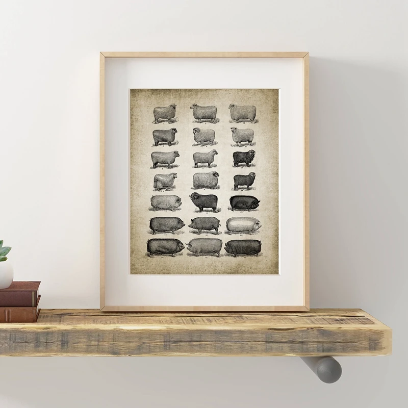 Chicken Pig Canvas Painting Home Decor  (1)