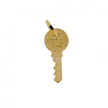 

Key pendant yellow gold 803321705415